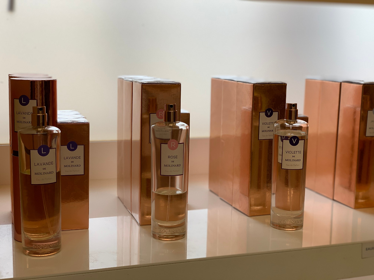 사진 2019. 5. 4. 오후 6 44 37.jpg