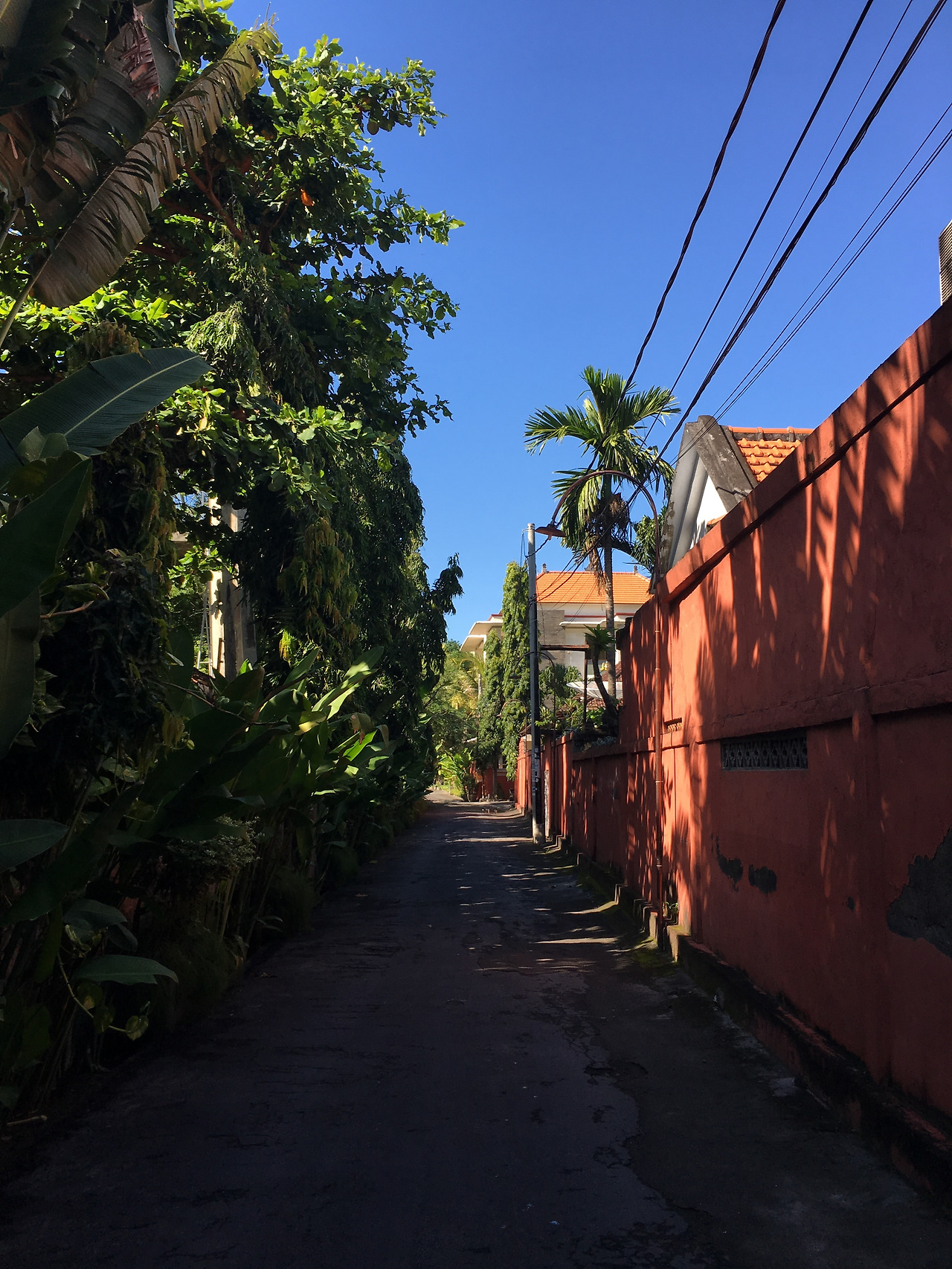 2017-05-01 09.32.37.jpg