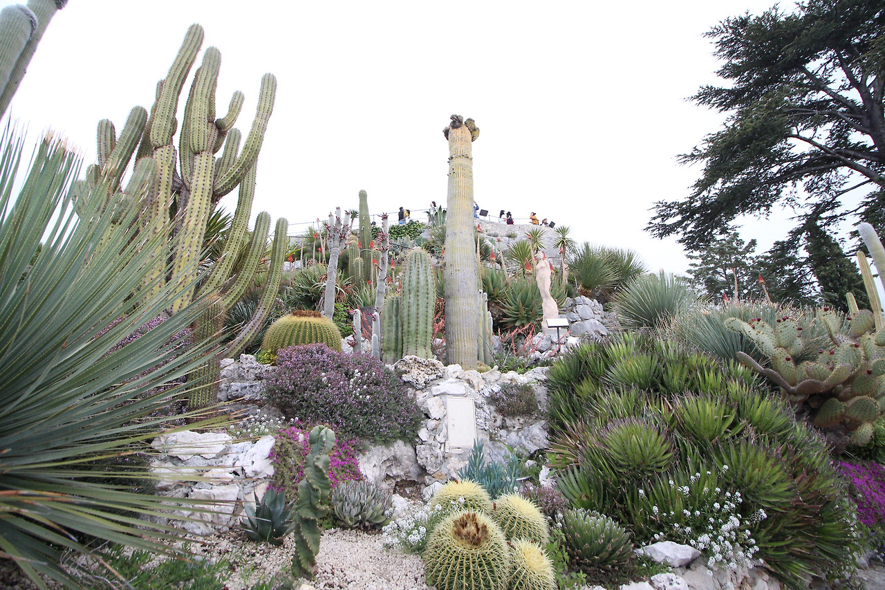 2019-05-02 17.56.48.jpg