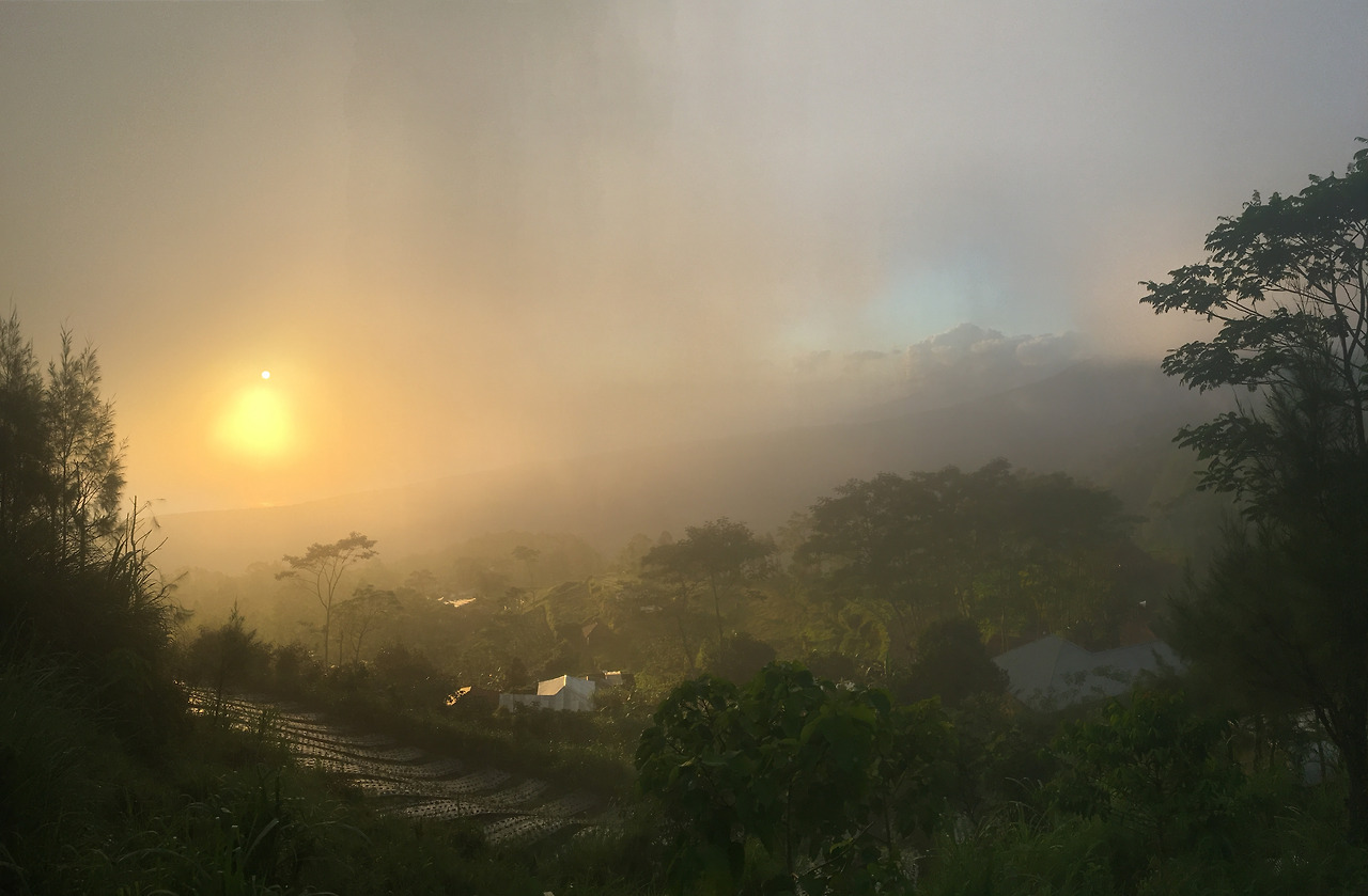 2017-05-06 06.30.47.jpg