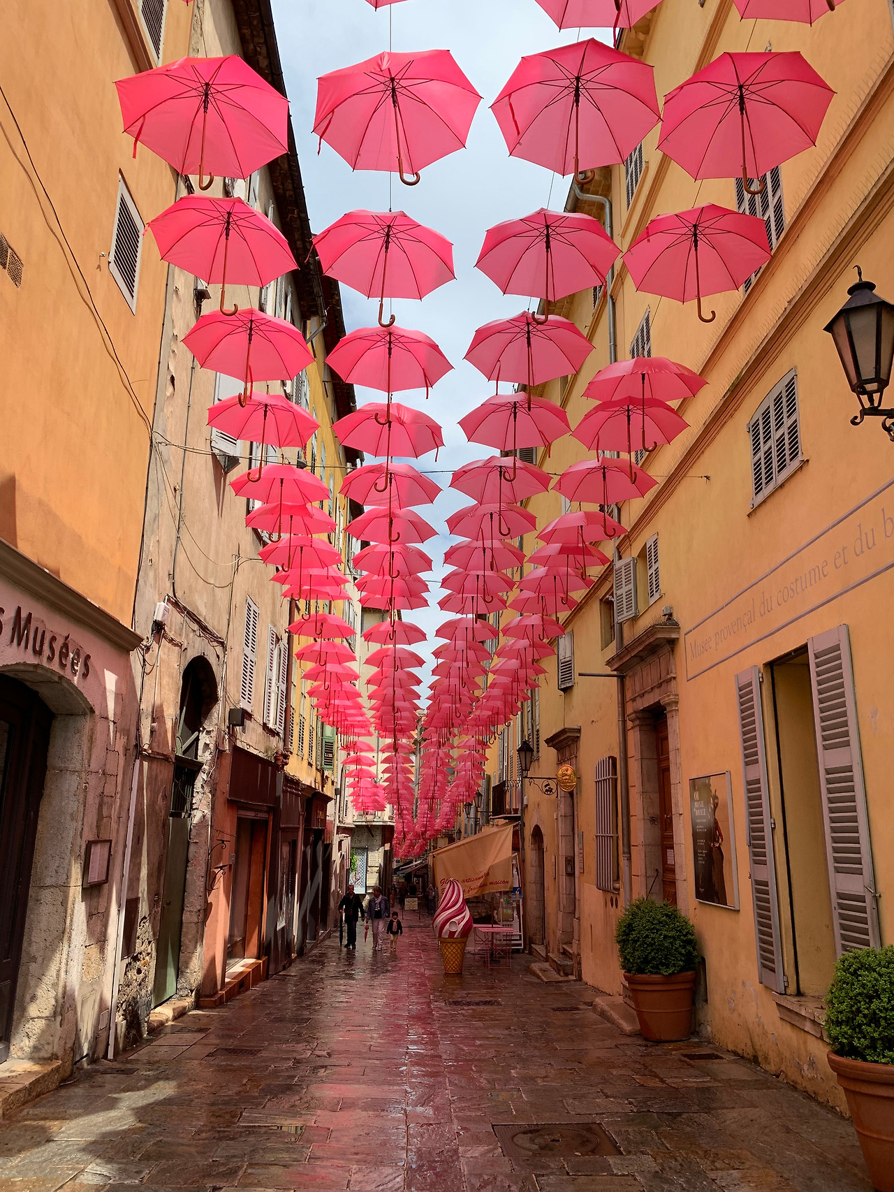 사진 2019. 5. 4. 오후 9 00 47.jpg