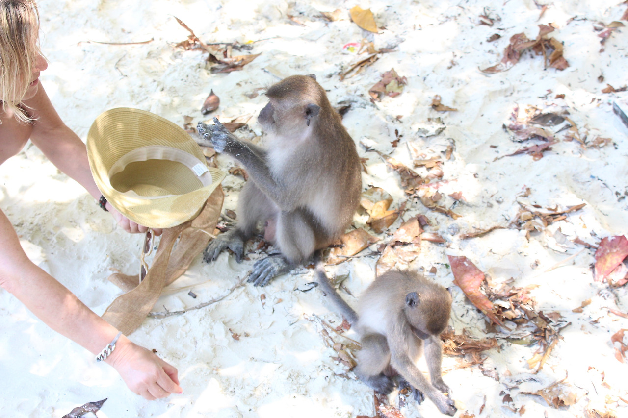 2016-02-10 14.18.19.jpg