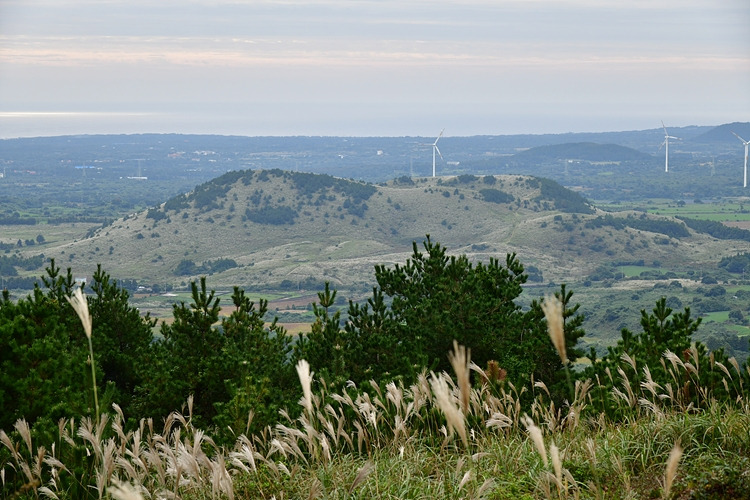 용눈이오름 DSC_9337.jpg