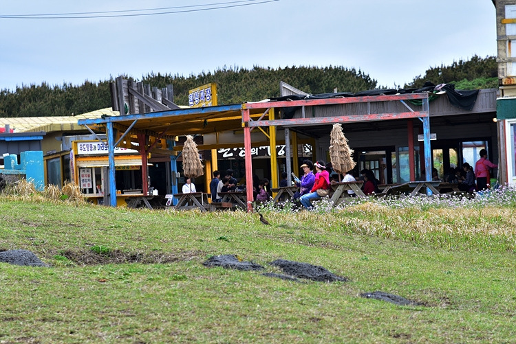 개똥지빠귀 DSC_7962.jpg