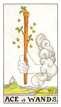ace of wands.jpg