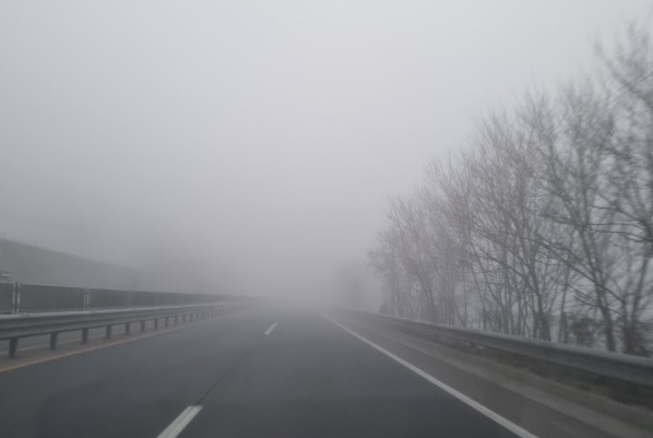출근 길 안개.jpg