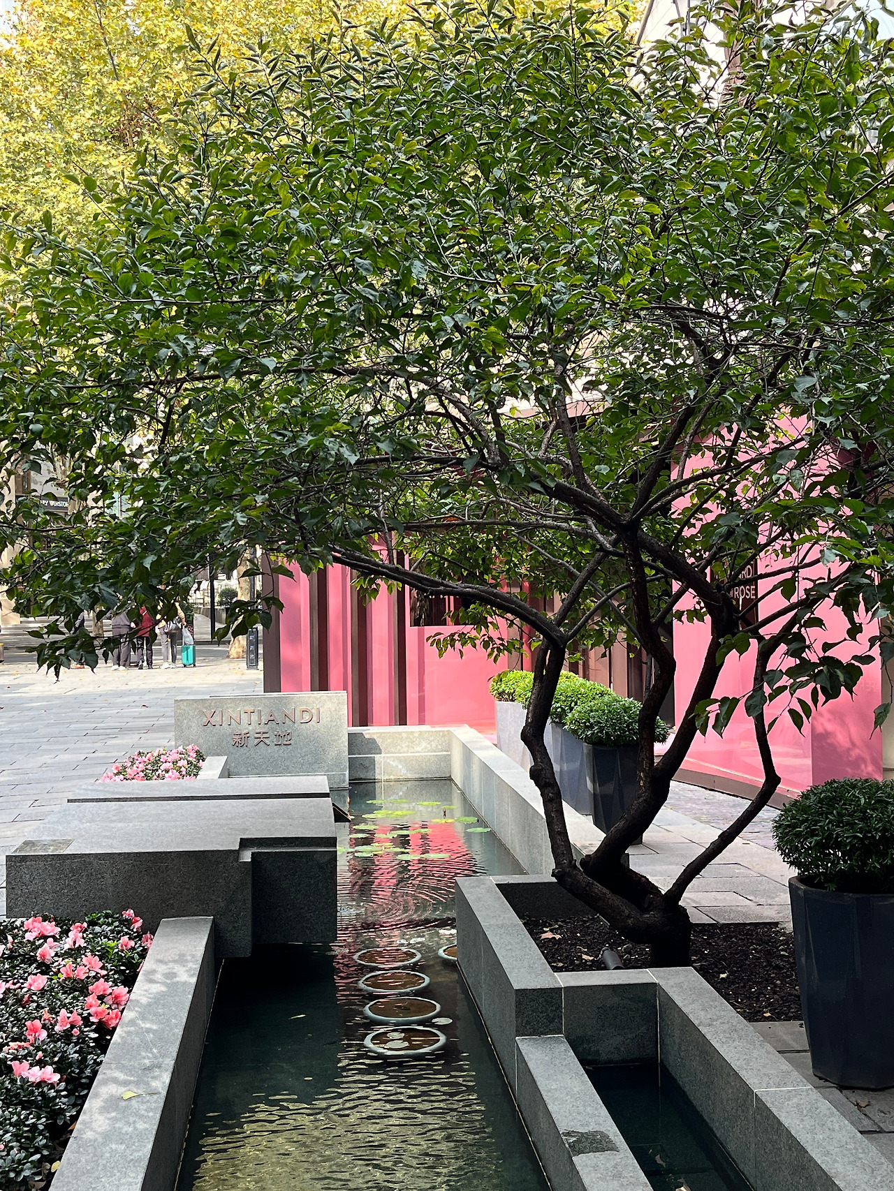 신톈디 2.jpg