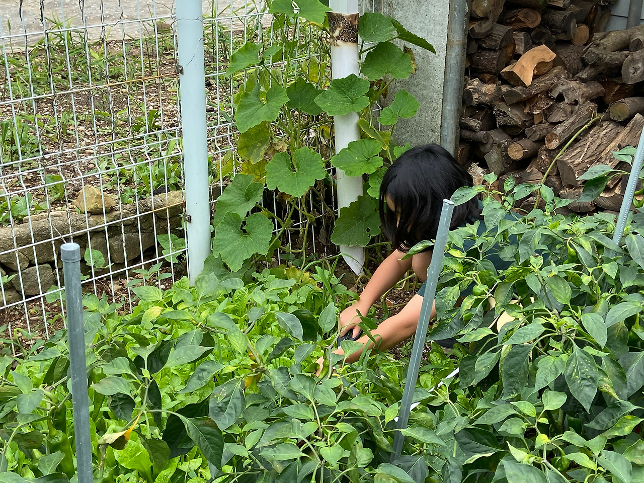 전라도 1.jpg