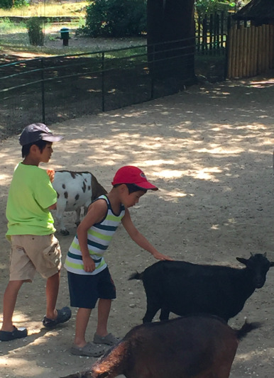 빨미르 1.jpg