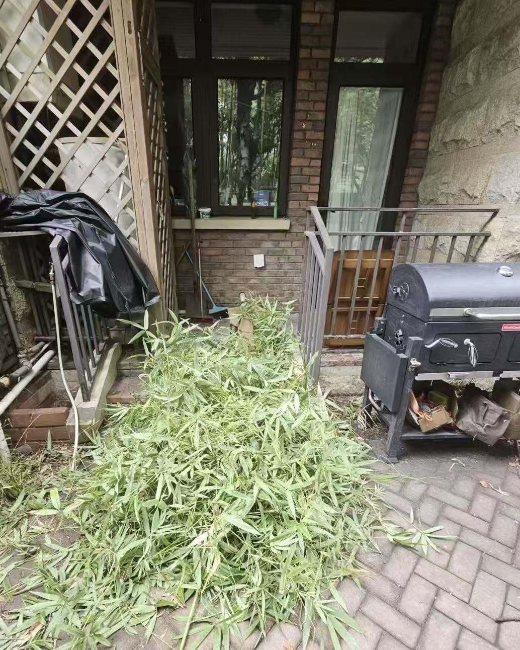 Weixin Image_20251004052007_448.jpg