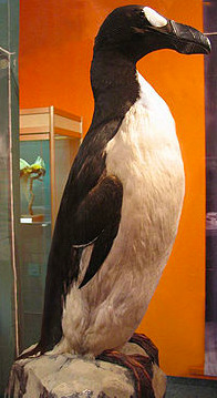 빨미르 6.jpg