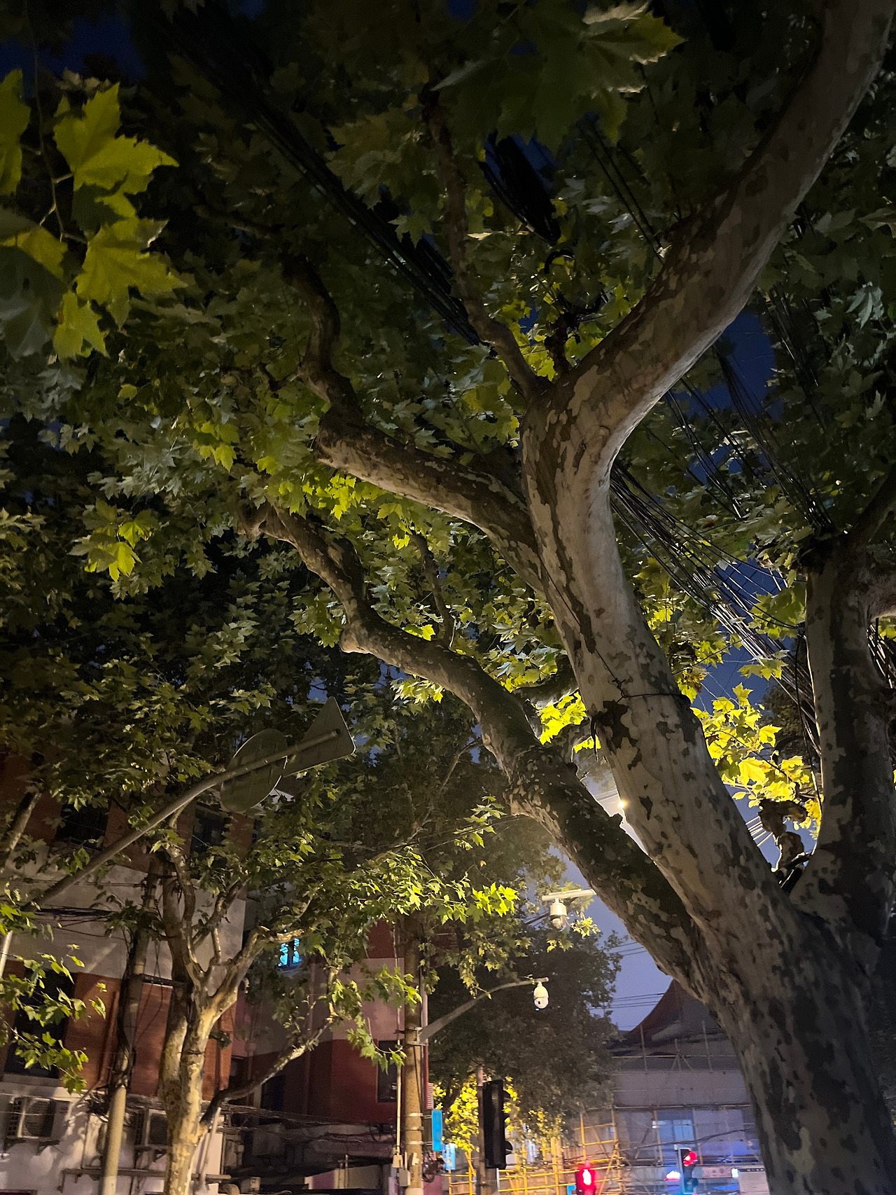 조계지 3.jpg