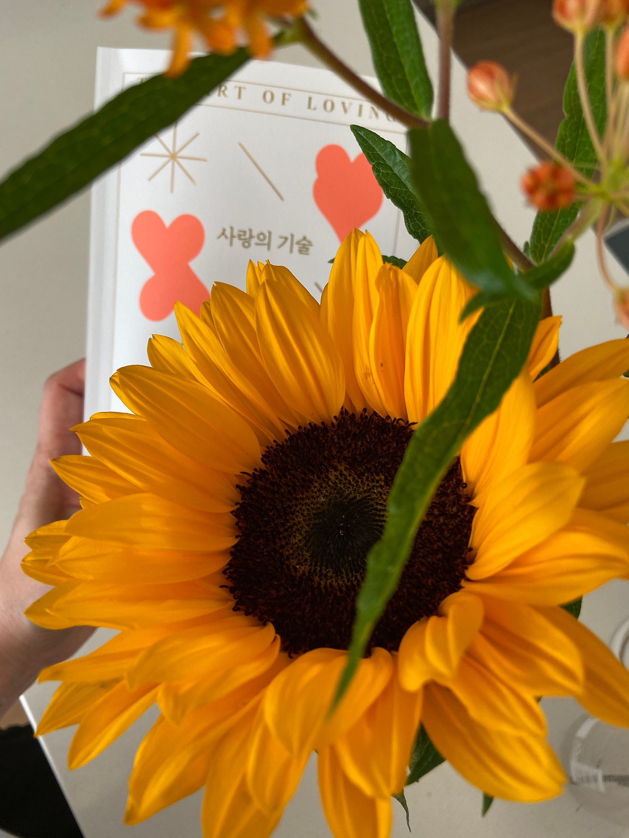 사랑의 기술.jpg