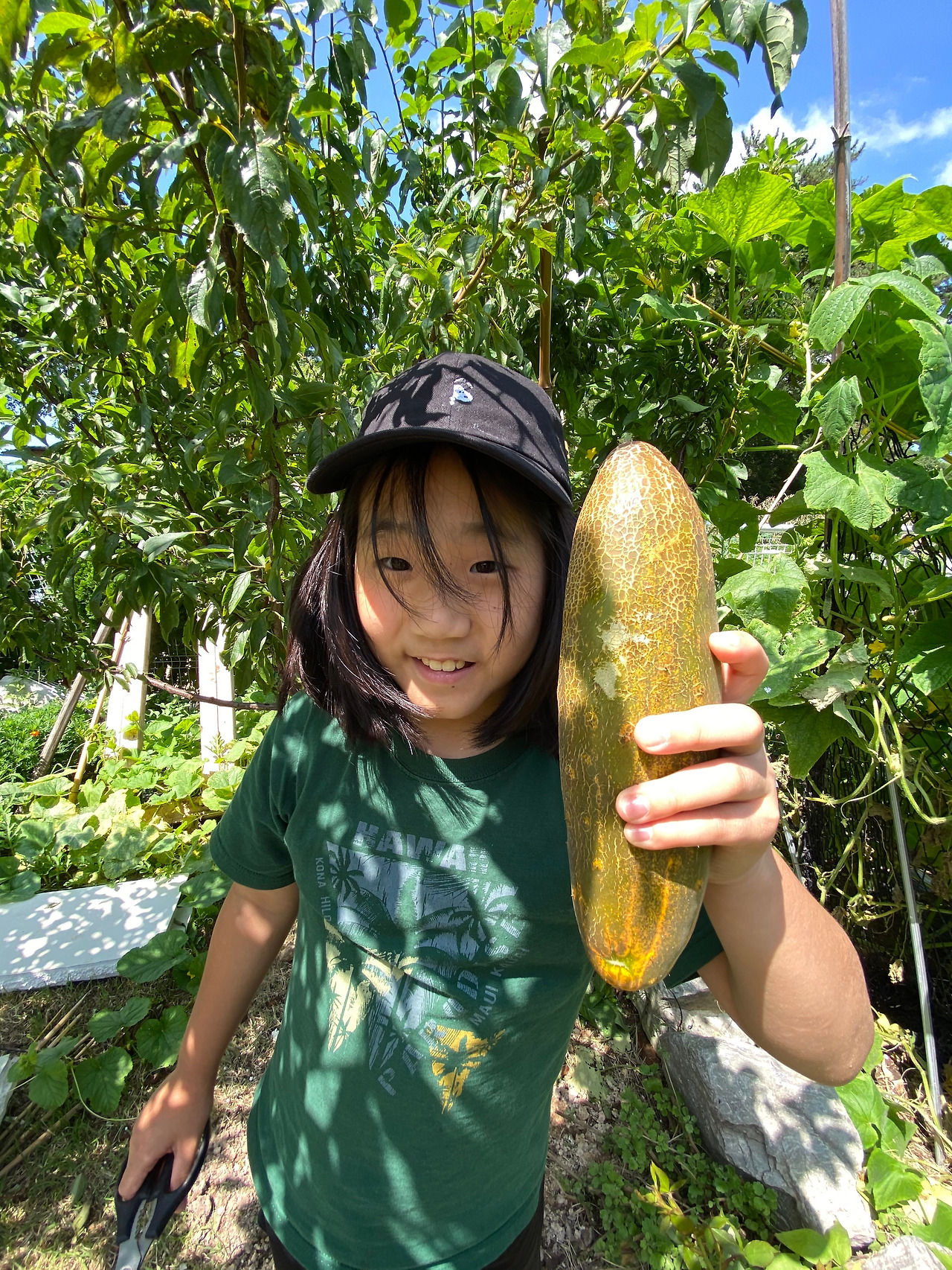 농사 5.jpg