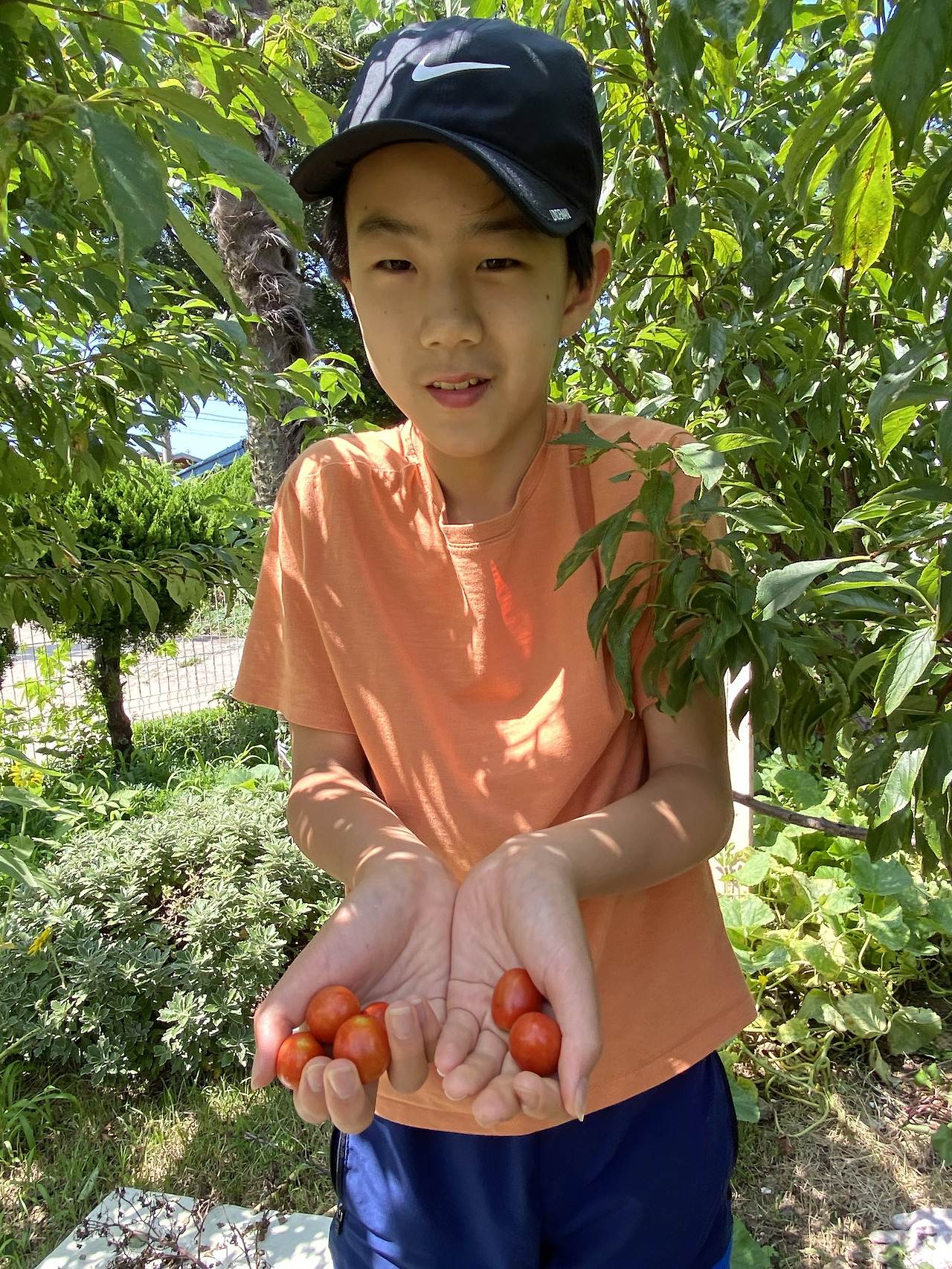 농사 2.jpg