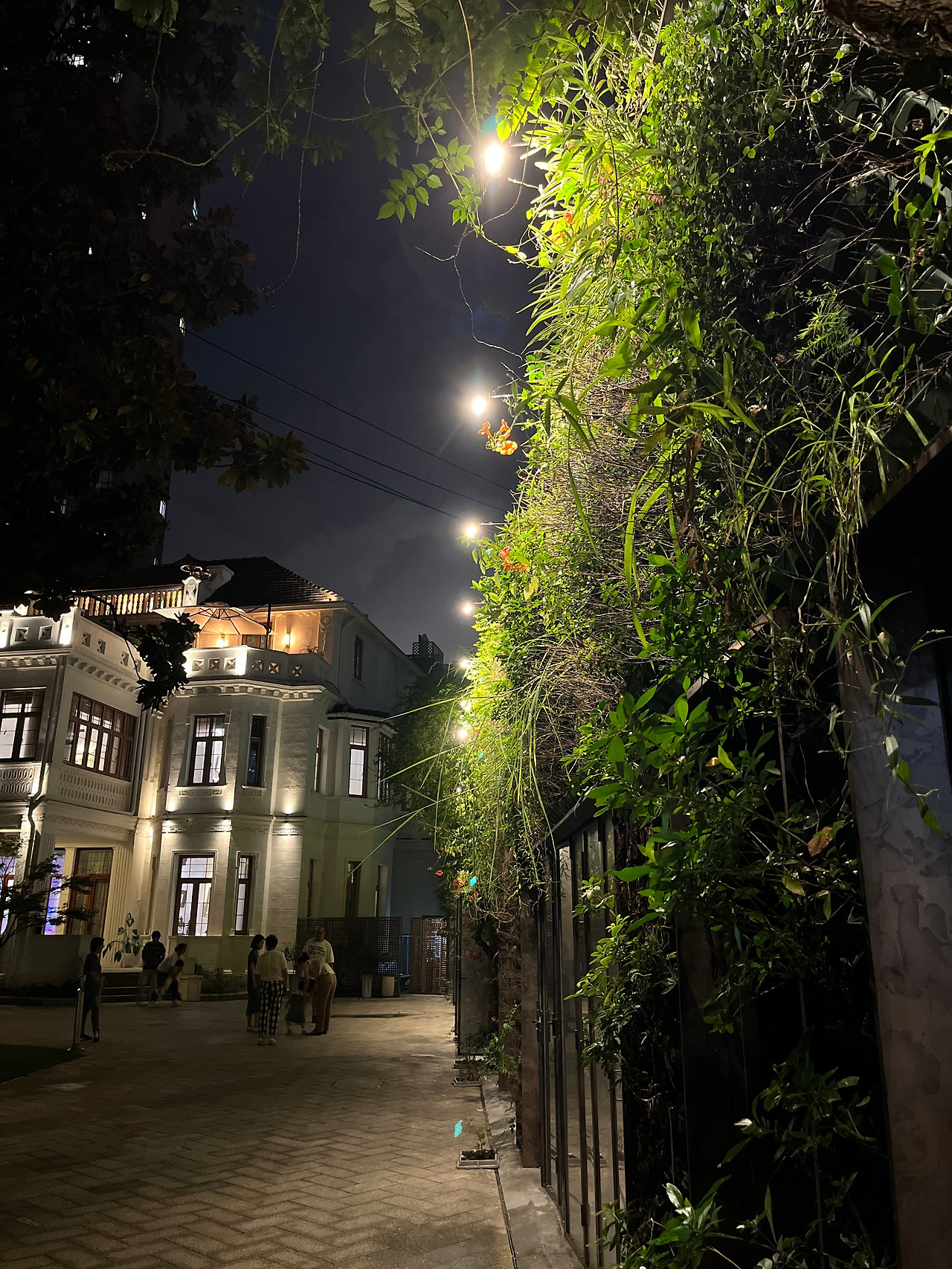 조계지 2.jpg