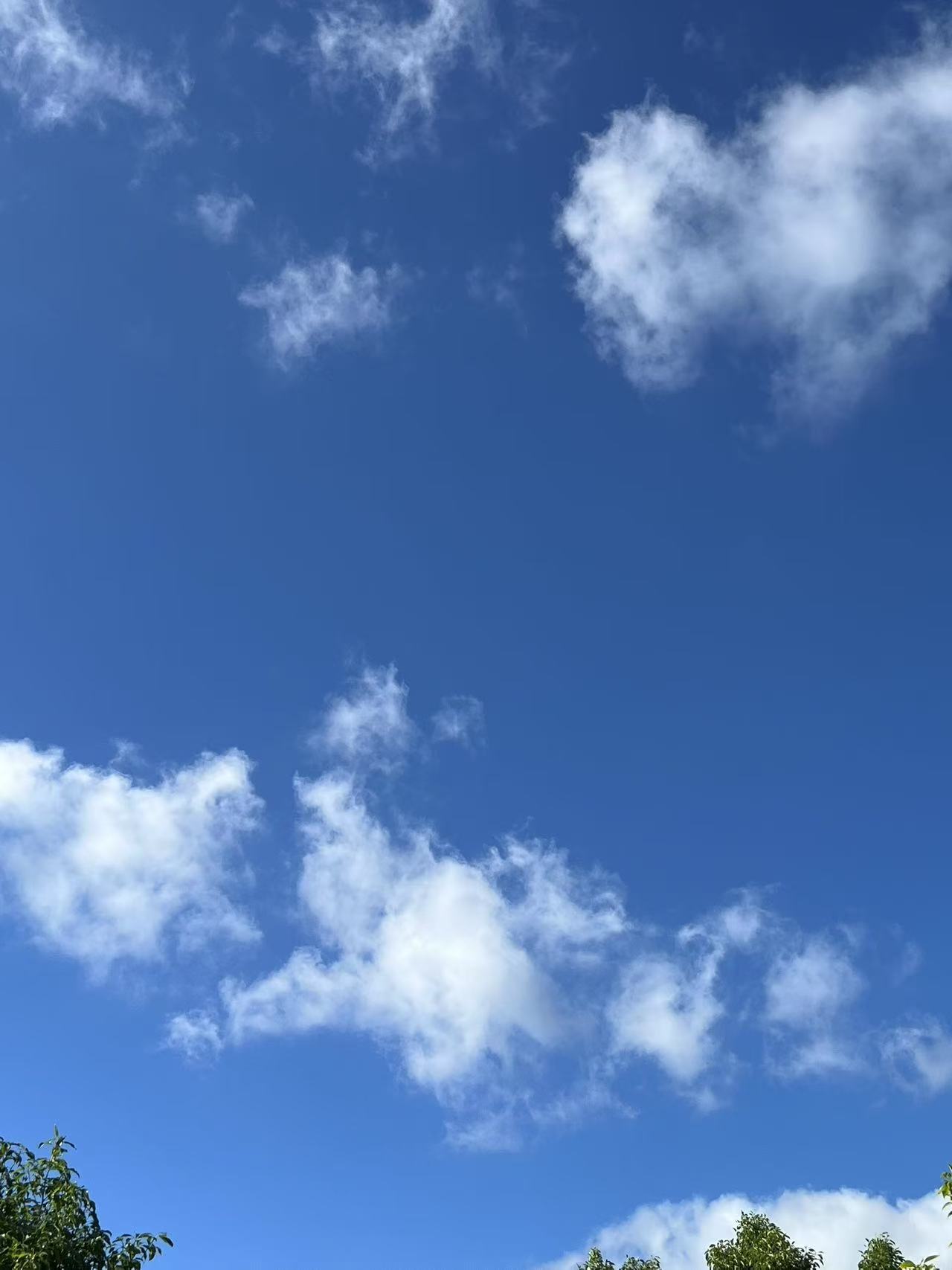 Weixin Image_20250815101436_127.jpg