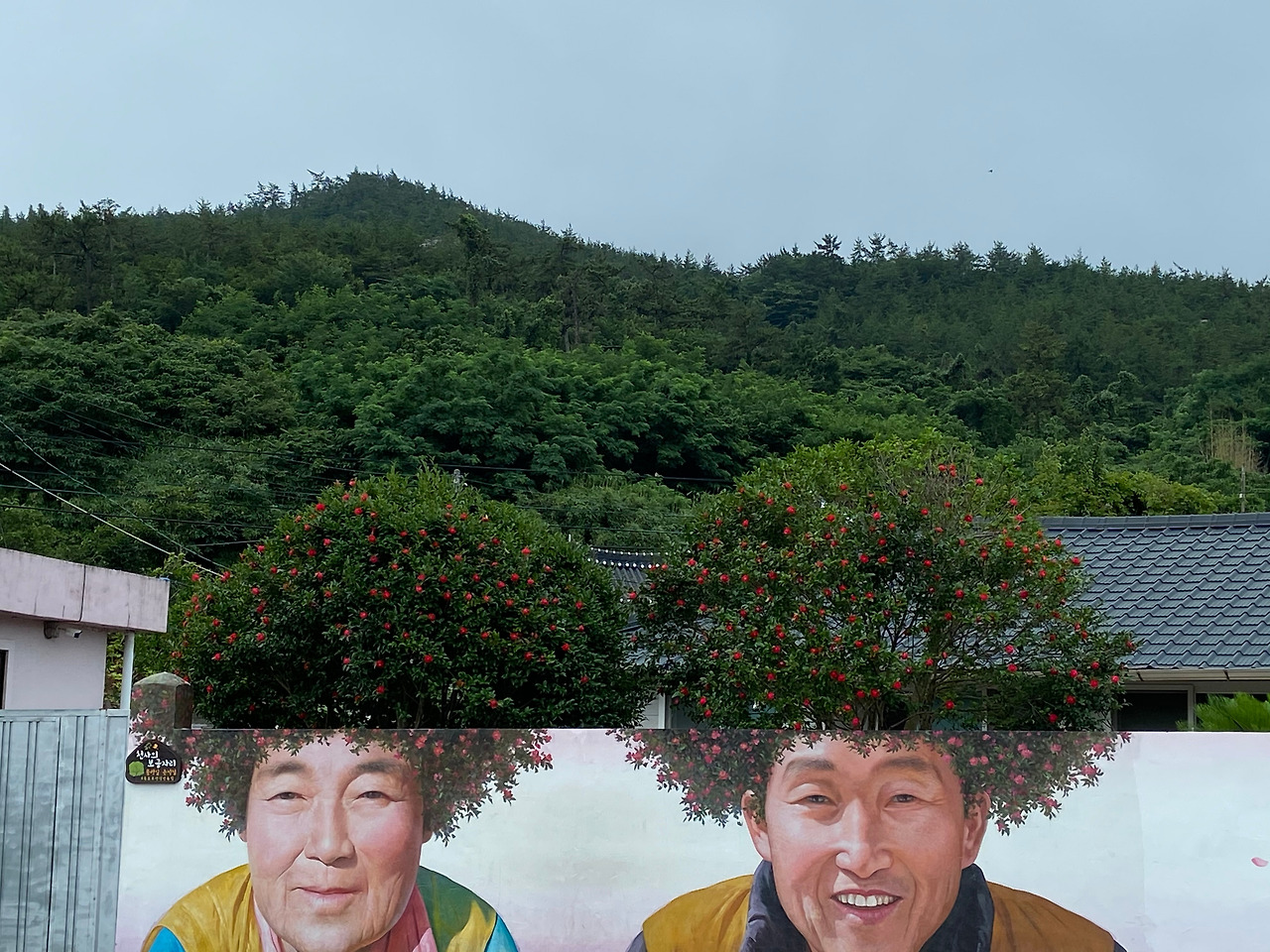 동백 1.jpg