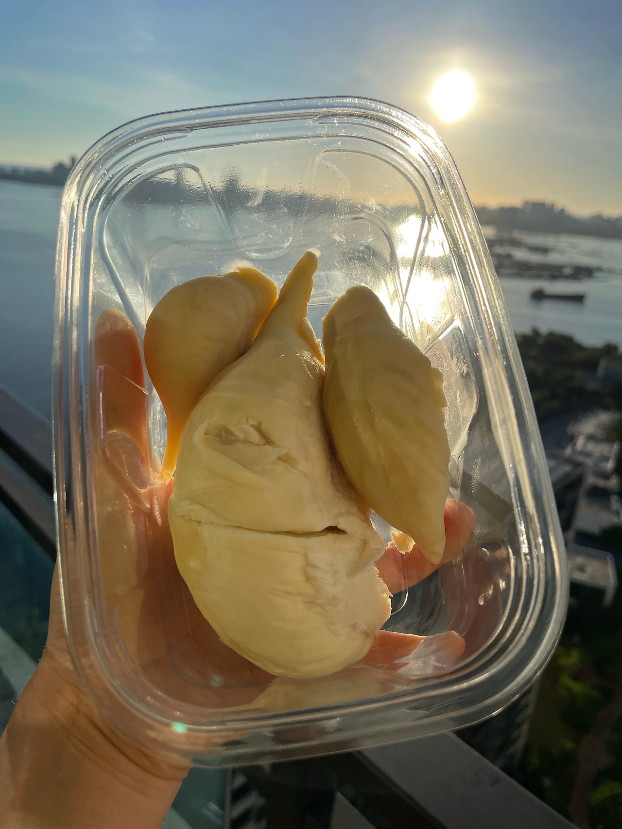 아침 3.jpg