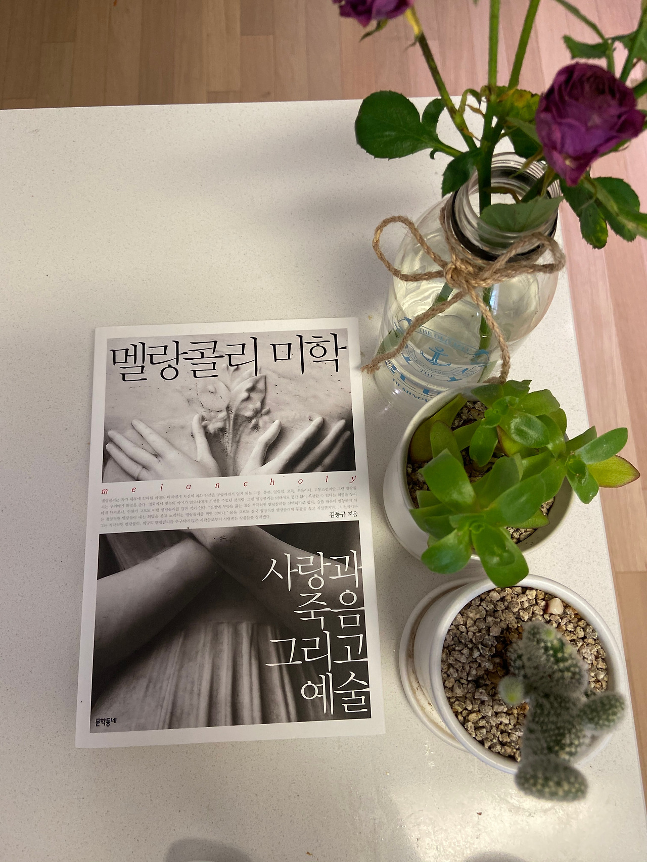 멜랑콜리 미학.jpg