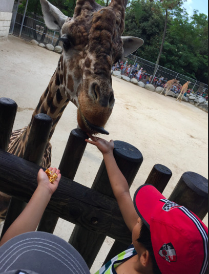 빨미르 3.jpg