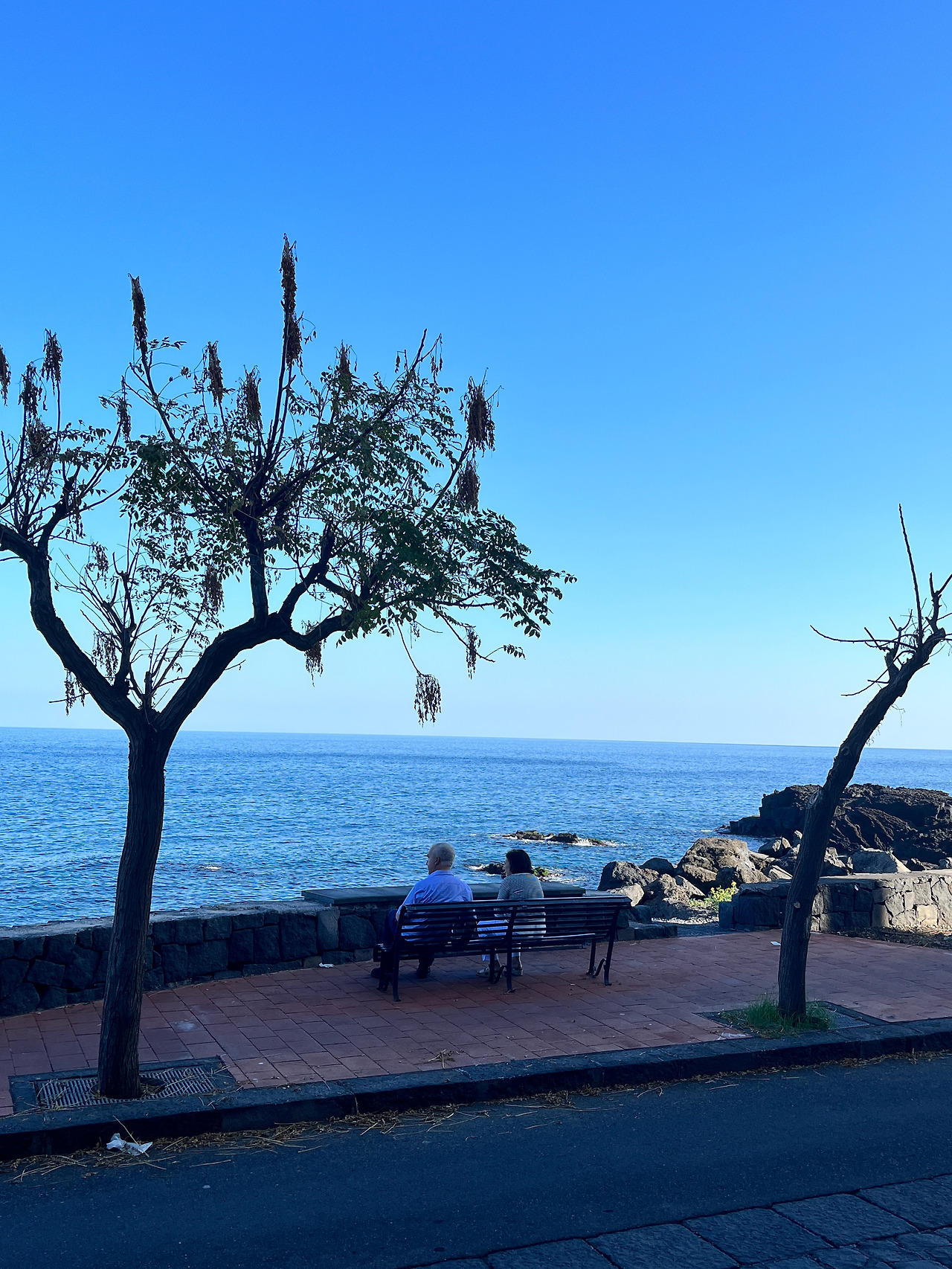 Weixin Image_2025-08-15_102948_574.jpg