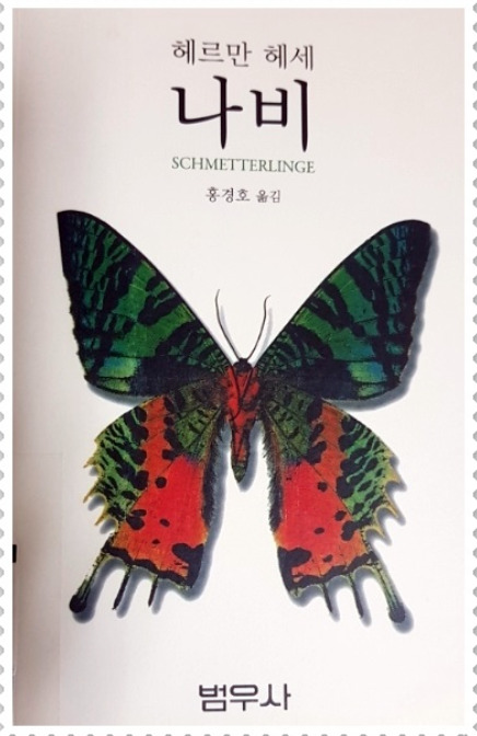 나비2.jpg