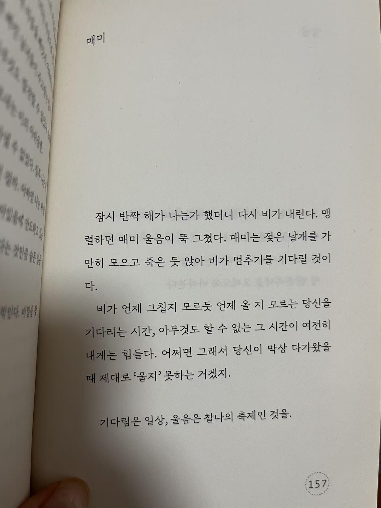 Weixin Image_20250811052632_73.jpg