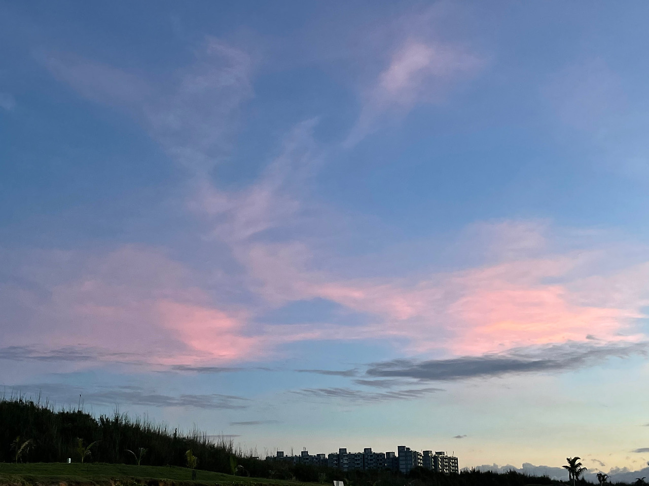 일출 13.jpg