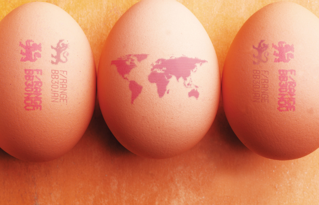 _MyDomino_EN_MarketingSalesInformation_ImageLibrary_E_Eggs.x91615dd1 (1).jpg