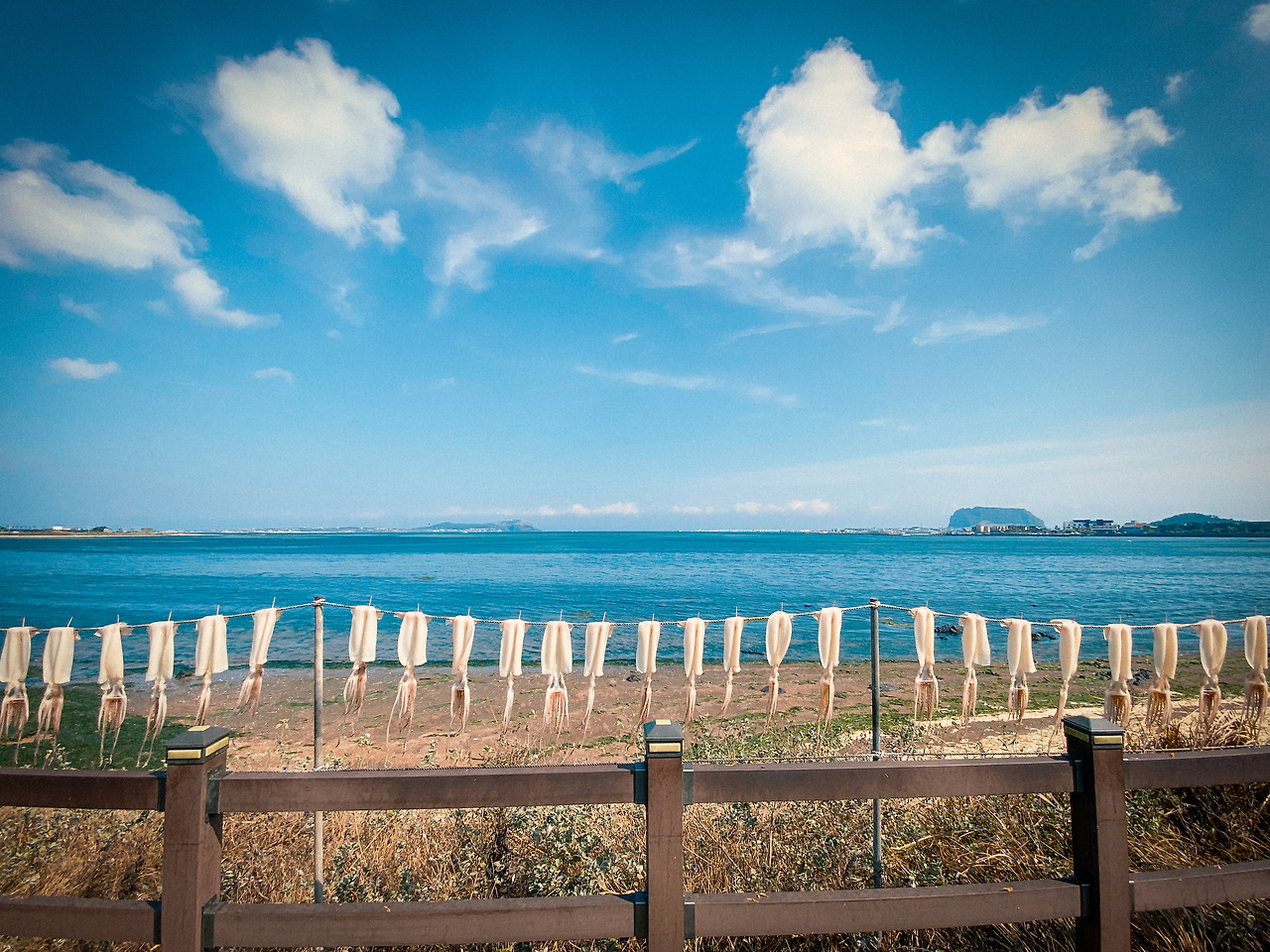 올레1코스 한치가 널린 바당.jpg