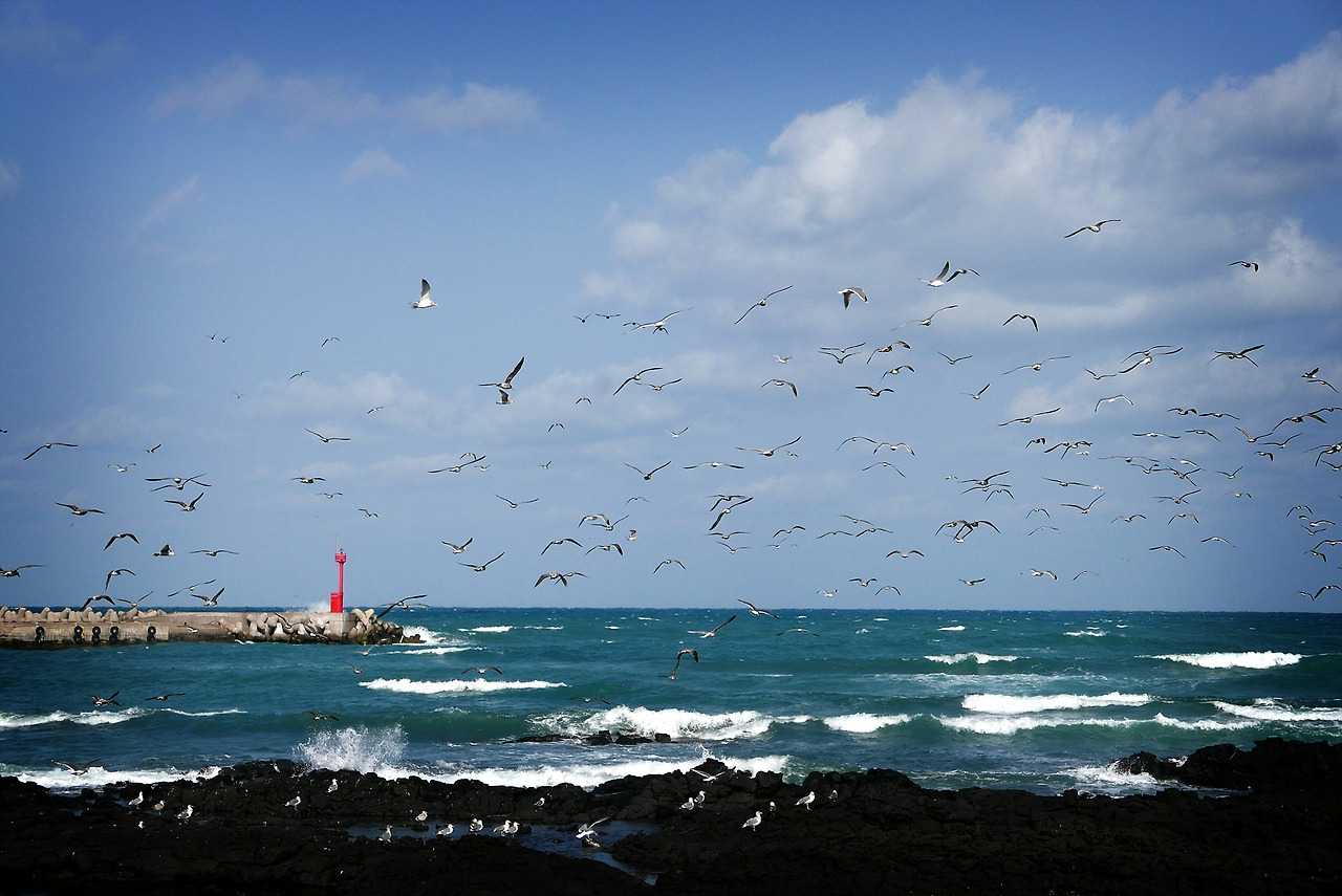 바람의 바다 04.jpg