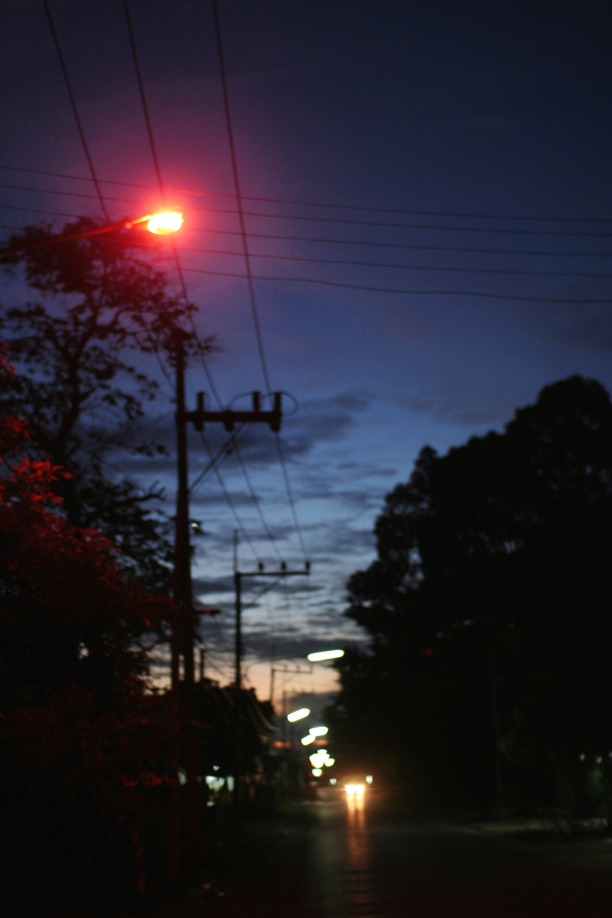 IMG_2926태국 새벽s.jpg