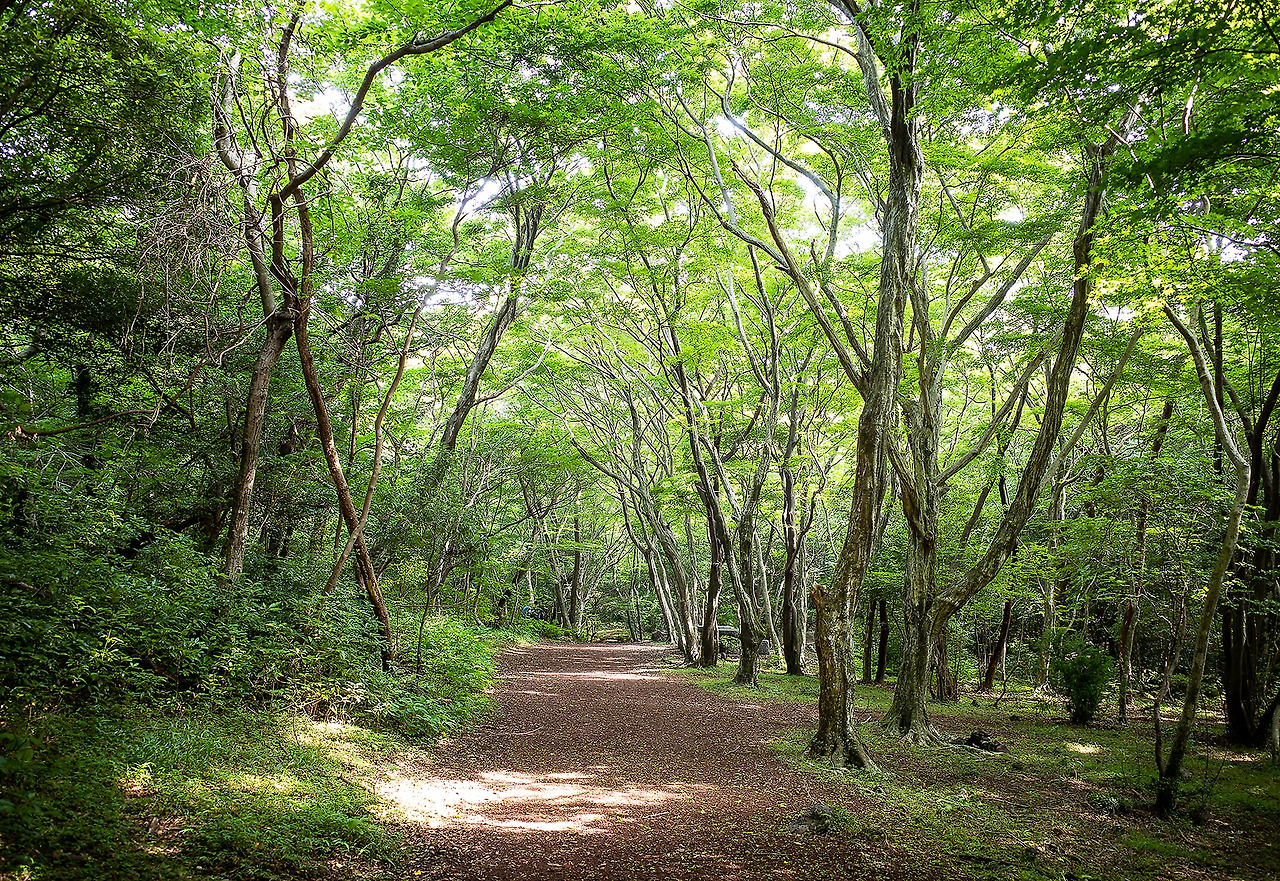 한라산 둘레길 2.jpg