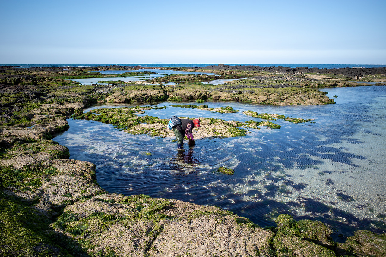김녕리 얕은 바당.jpg