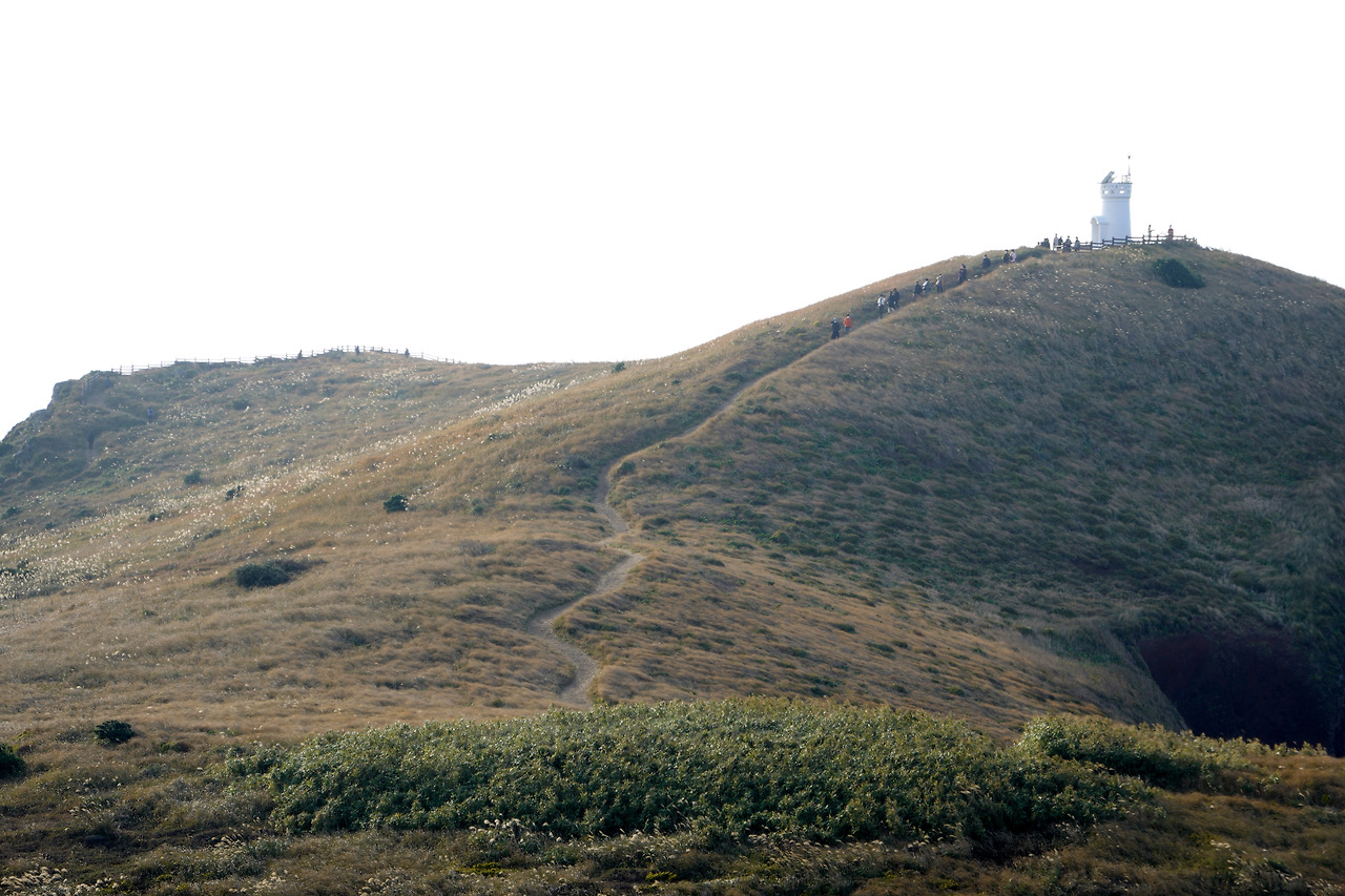 차귀도 등대 능선길.jpg