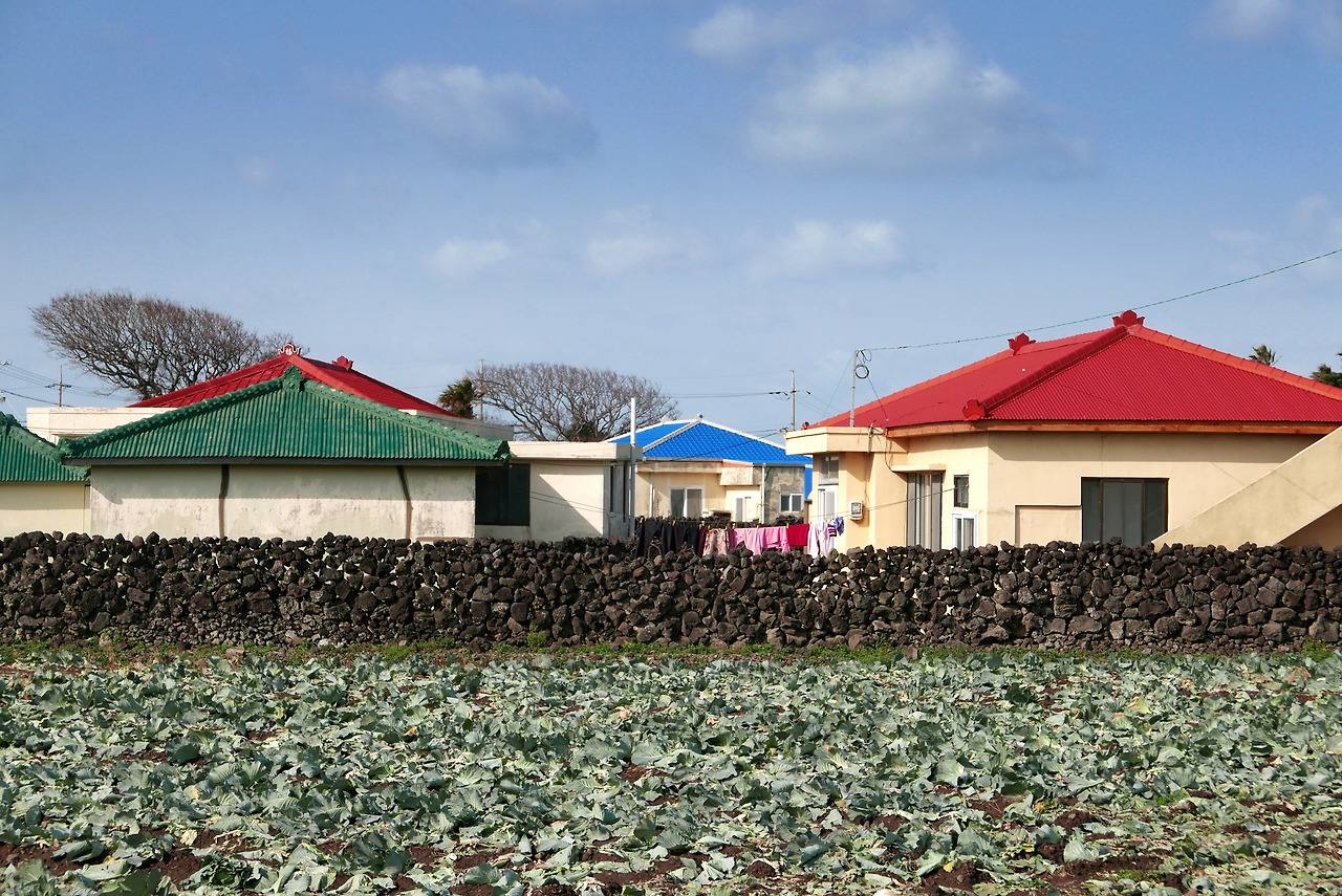 올레15코스 마을소경.jpg