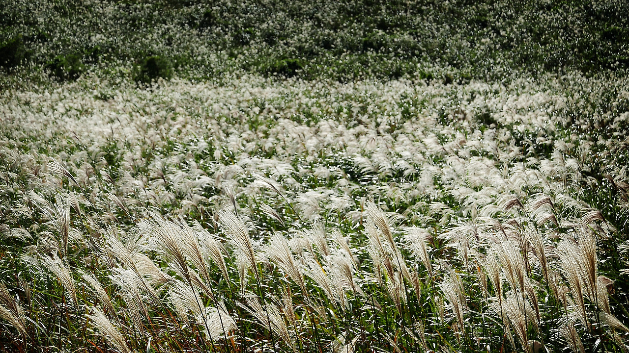 아끈다랑쉬 28.jpg