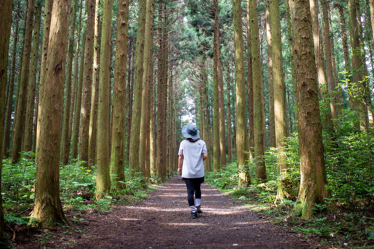 한라산 둘레길 3.jpg