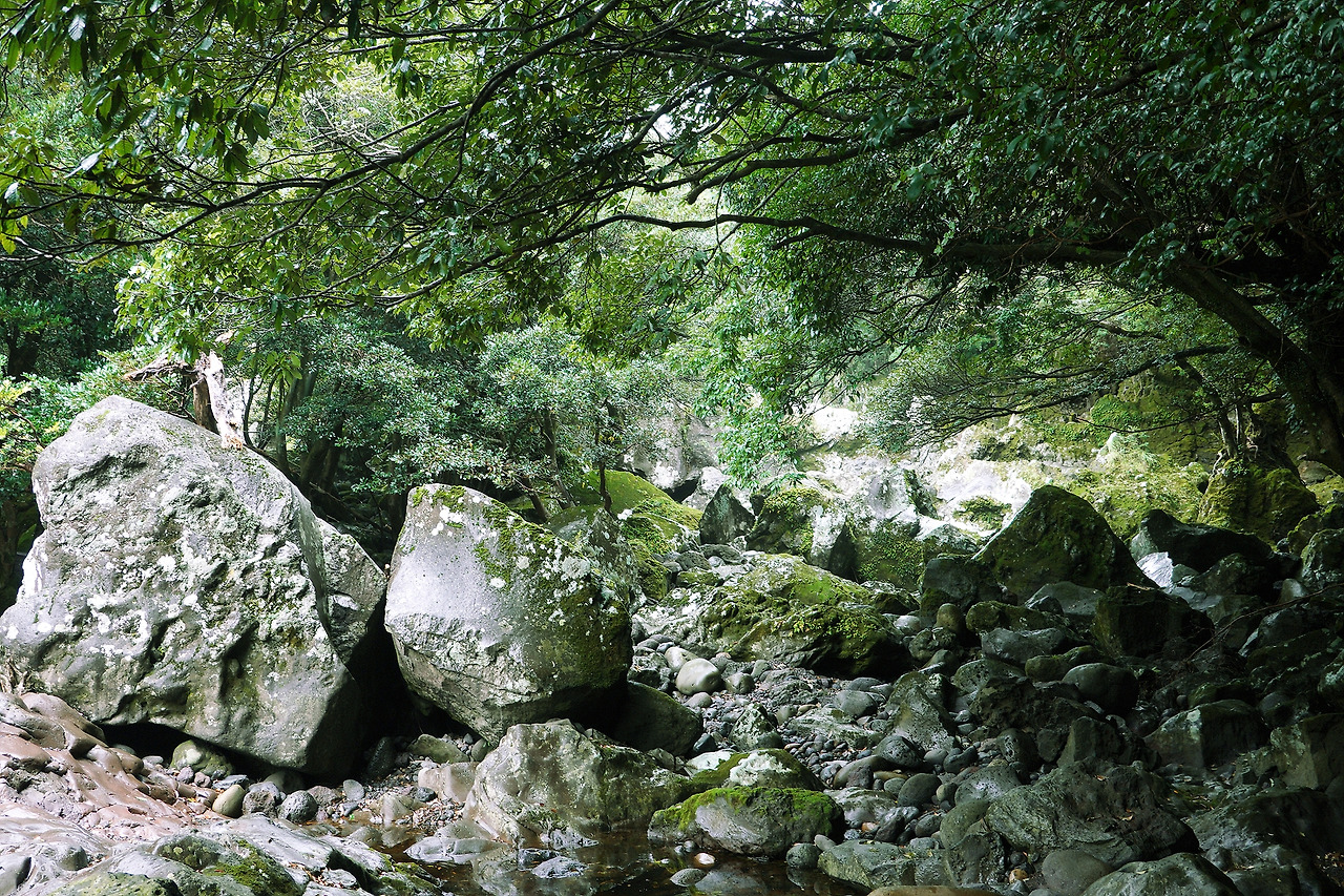 제주 하천의 무정형의 돌들.jpg