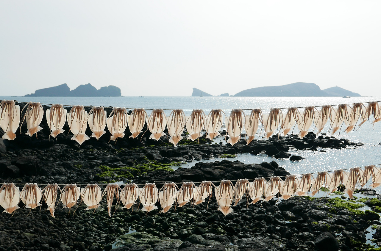 차귀도 풍경.jpg