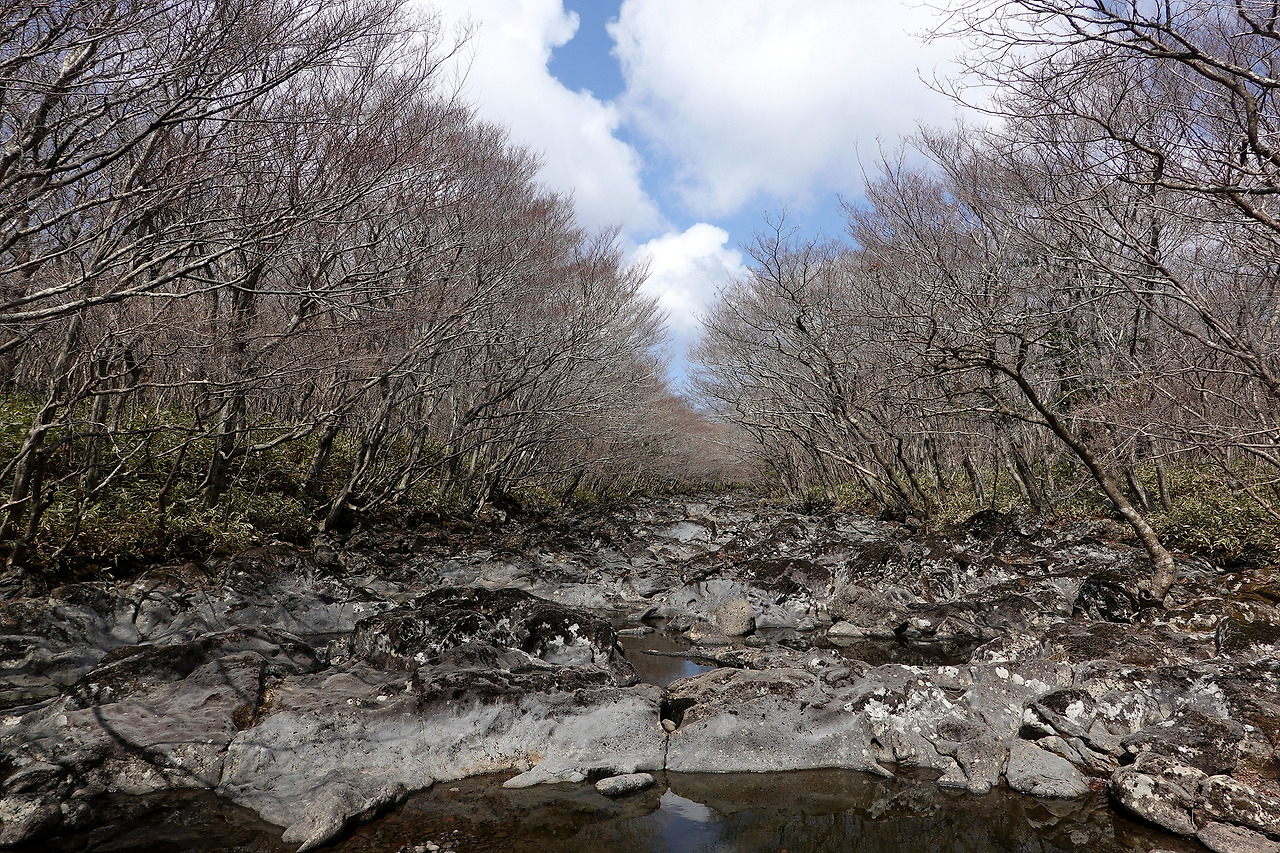 용암이 흐르다 굳은 은밀한 내창.jpg
