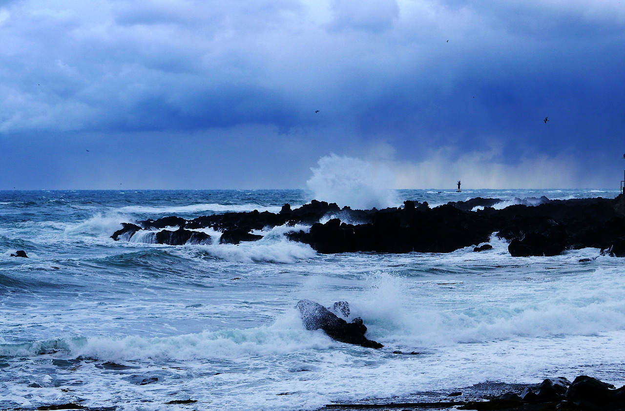 바람의 바다 02.jpg