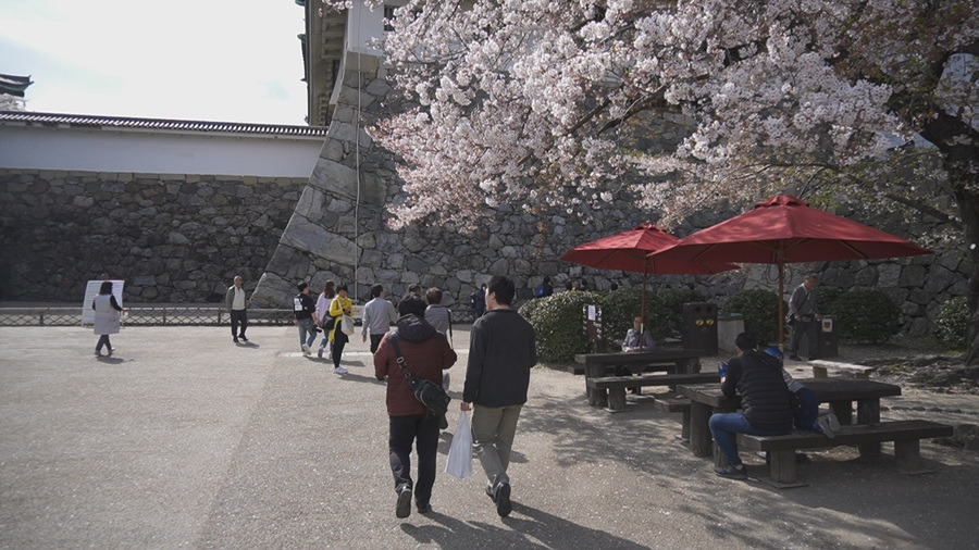 6. 나고야 성 (2).jpg