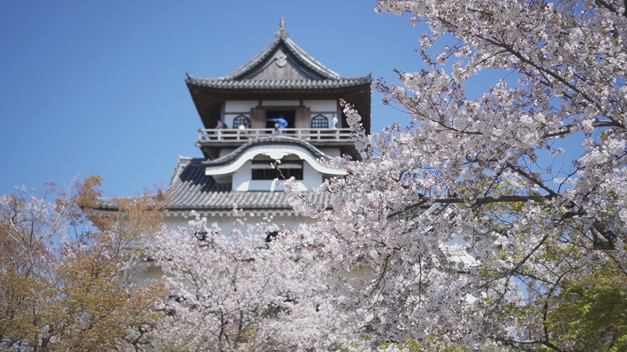 1. 이누야마 성 (2).jpg