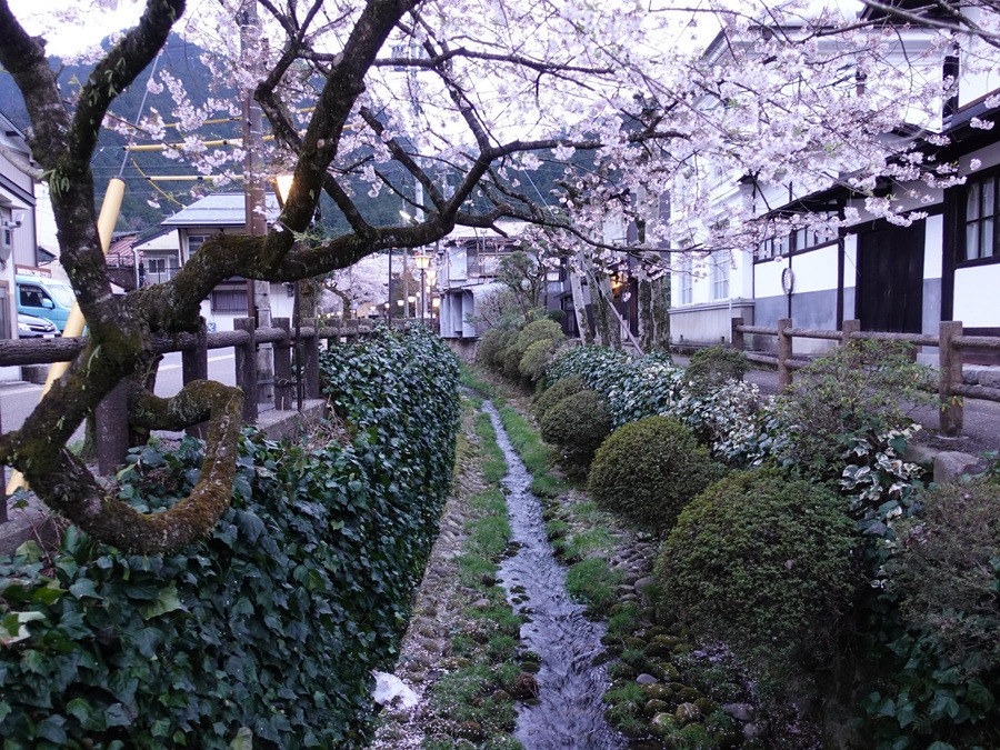 2. 구조하치만 (2).jpg