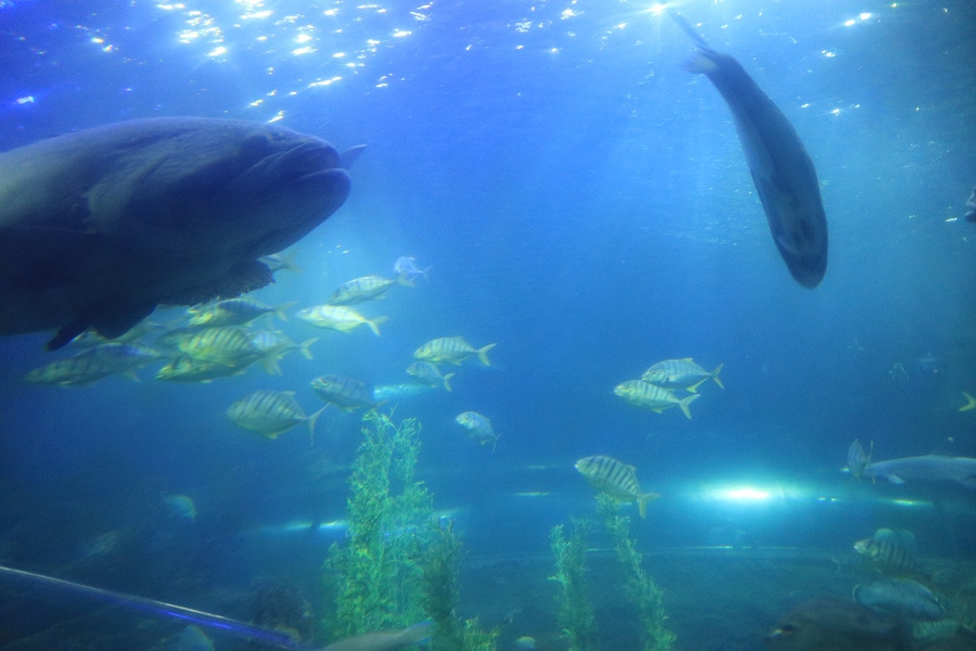 2. 빈펄랜드 (2).jpg