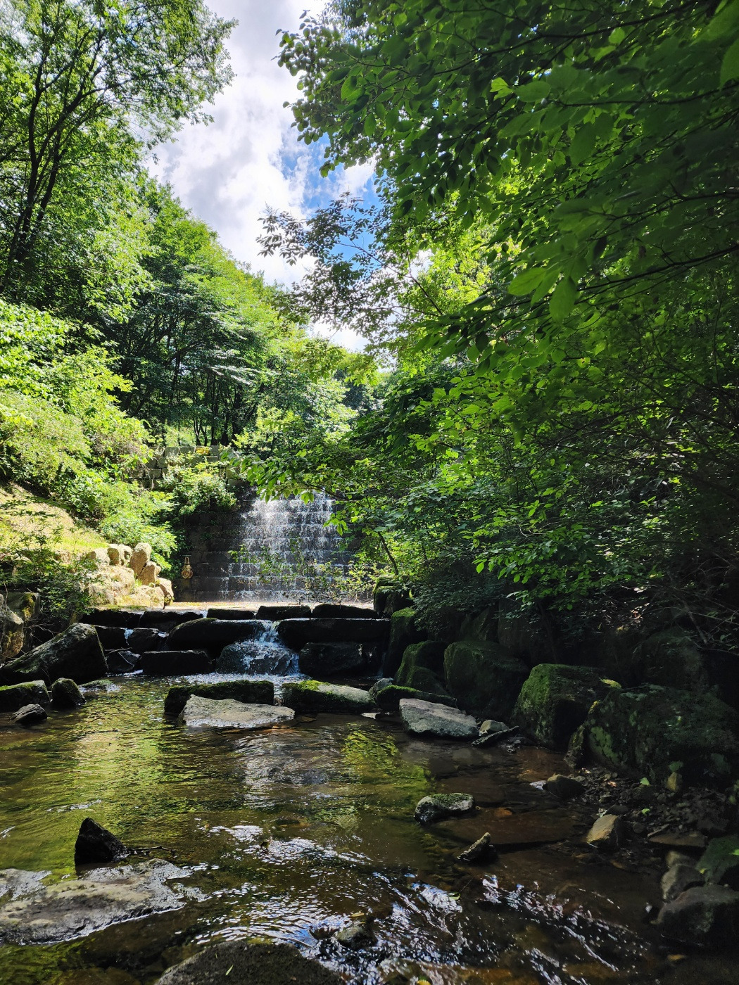 자연의 순리_시3.0_p62_20250919.jpg