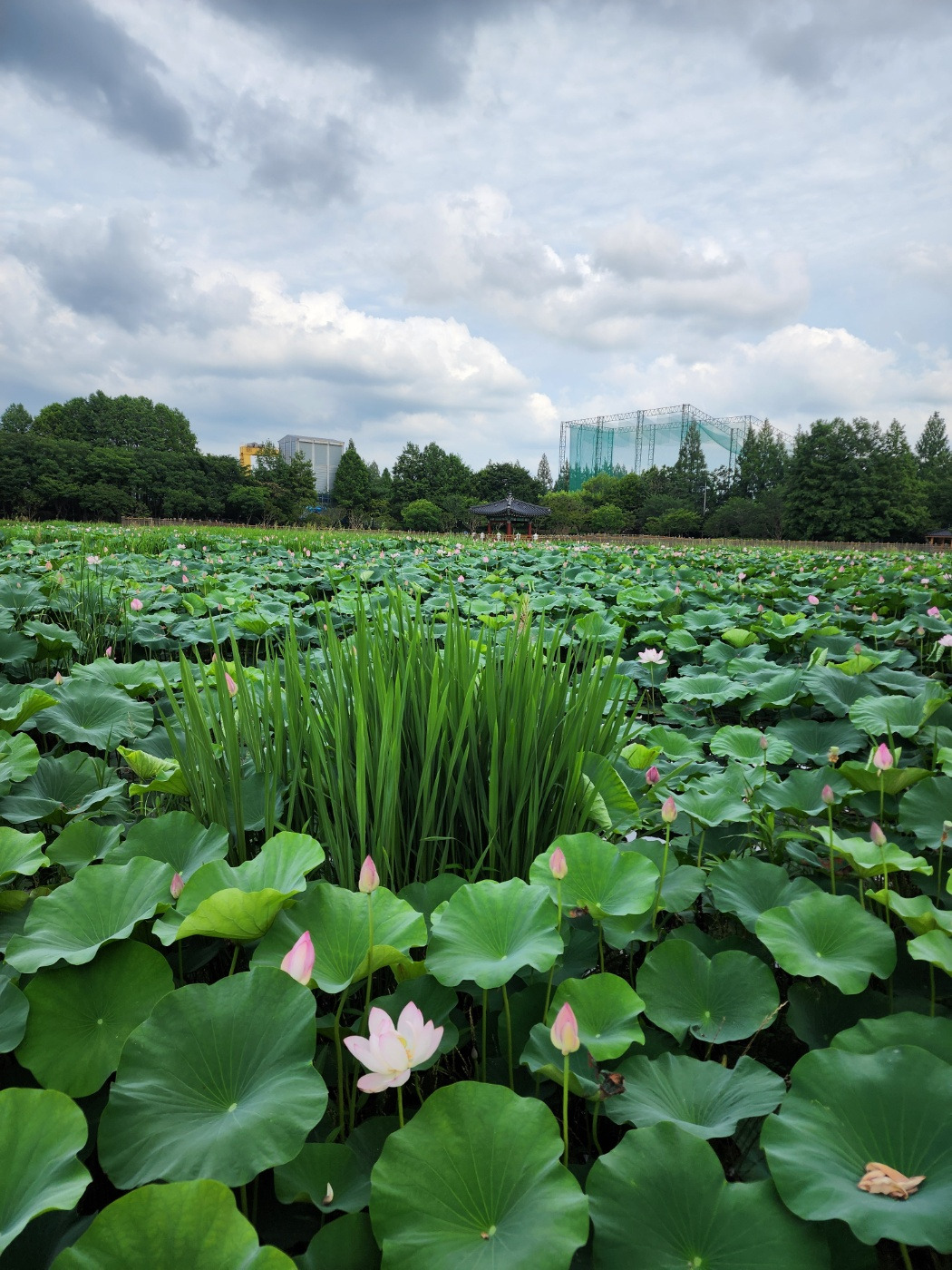 엄마_시 3.0_p60_이미지.jpg