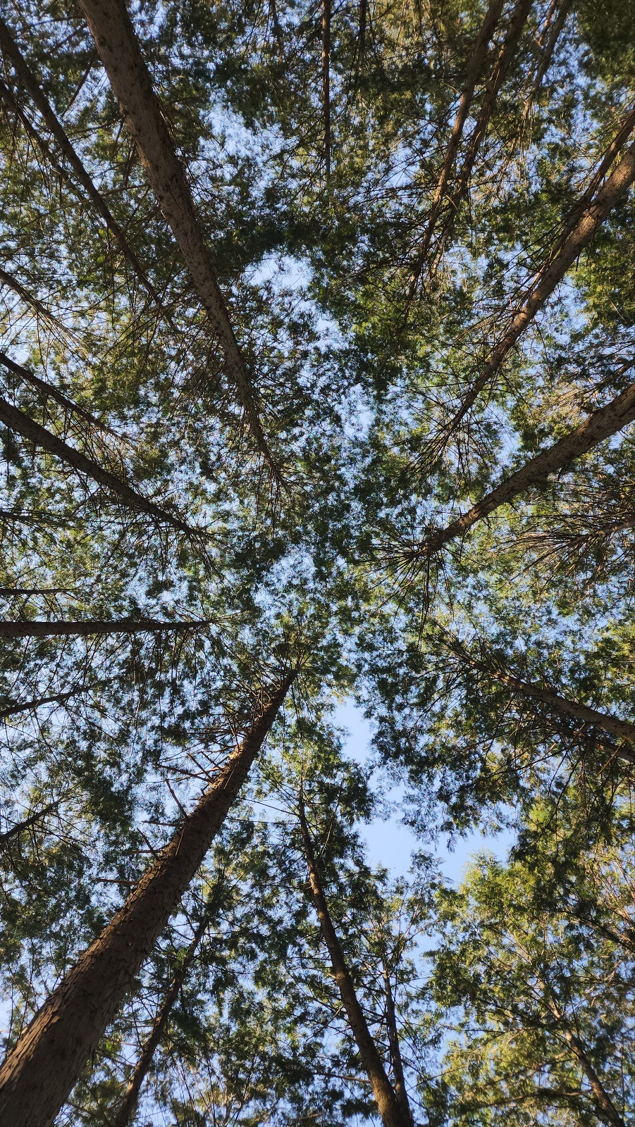 새는_시 3.0_p55_이미지.jpg